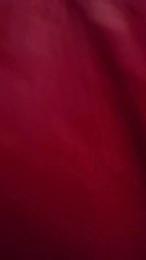 Fsst4 webcam model stream image