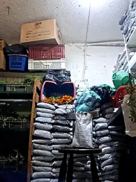 Niidia webcam stripchat model stream image