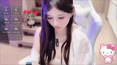 fog- webcam model stream image