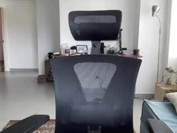 alexdimartino webcam model stream image
