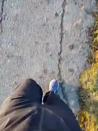 OdinWolf1990 webcam stripchat model stream image