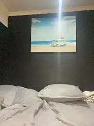 BlueIceCube webcam model stream image