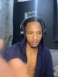 BlueIceCube webcam model stream image