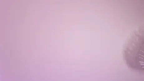 okerriella webcam model stream image