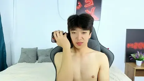DianInav webcam model stream image