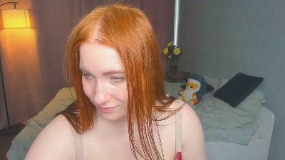 GingerDryer webcam model stream image