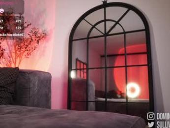 dominic_sullivan1 webcam chaturbate model stream image