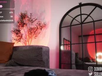 dominic_sullivan1 webcam chaturbate model stream image