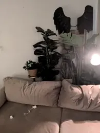 LaureMestler webcam model stream image