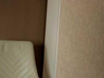 NoFaceModel webcam model stream image