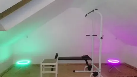 NinjaLaser webcam model stream image