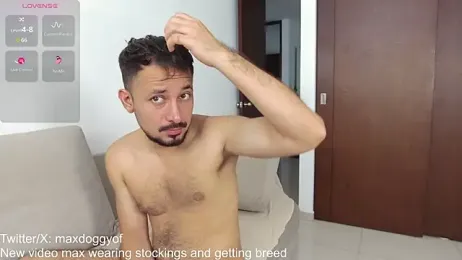 maxdoggy1 webcam stripchat model stream image