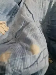 PeterNguyen11 webcam model stream image
