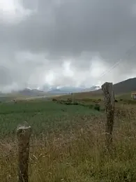 Naim_TheKing webcam stripchat model stream image