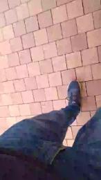 Gym2 webcam model stream image