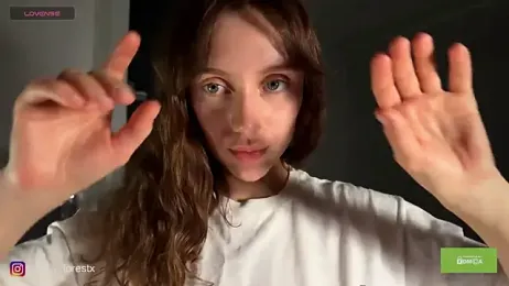 spring_forest webcam model stream image