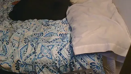 Gmajor webcam model stream image