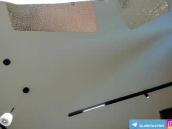 lavetax webcam model stream image