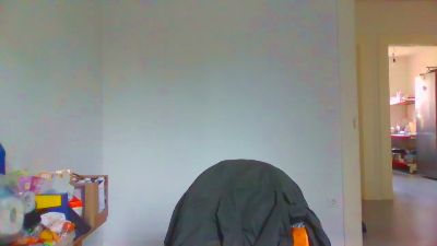 sauvieh webcam model stream image