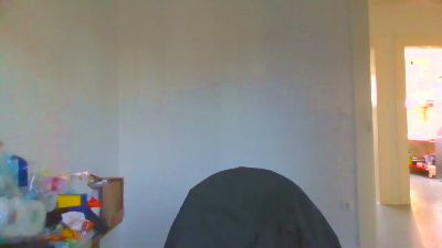 sauvieh webcam model stream image