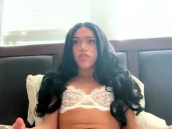 dynasty313 webcam chaturbate model stream image