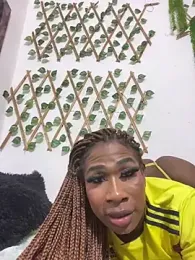 Sheinny_brown1 webcam model stream image