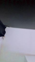 Agat4 webcam model stream image