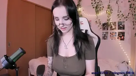 Viv_Player webcam model stream image