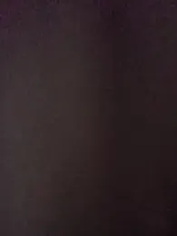 RightishResolve webcam model stream image