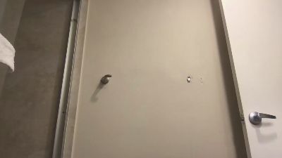 bossman260 webcam model stream image