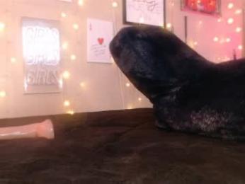 milf_lacey webcam model stream image