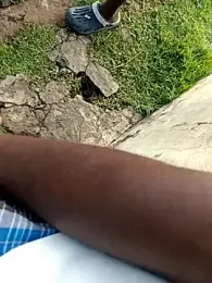 dolphiinn webcam model stream image