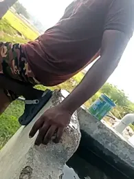 dolphiinn webcam model stream image