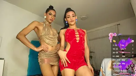 Bigdickgirls_02 webcam stripchat model stream image