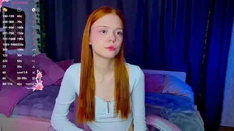 WeiSusi webcam model stream image