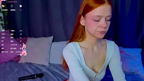 WeiSusi webcam model stream image