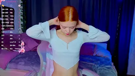 WeiSusi webcam model stream image