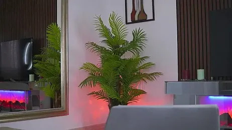 Abbela_White webcam model stream image