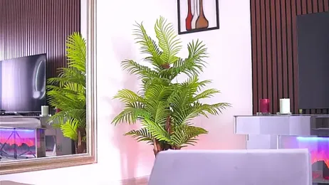 Abbela_White webcam model stream image