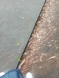 andresj22hot webcam model stream image