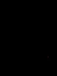 qazpqp webcam model stream image