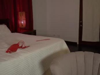 chloewildd webcam chaturbate model stream image