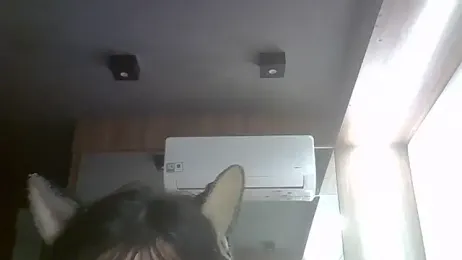 SkinnyKitten webcam model stream image