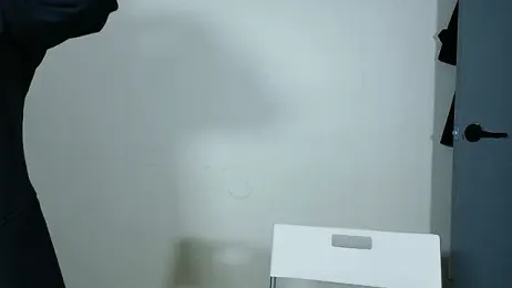 min9811 webcam model stream image