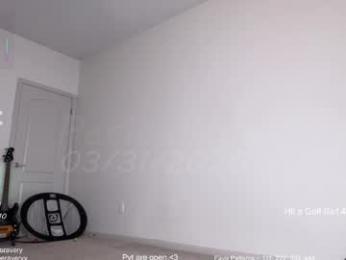 petitebrat webcam chaturbate model stream image