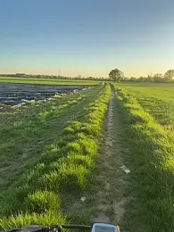 AmjadAlpha webcam model stream image