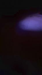 ItalianBeast76 webcam model stream image