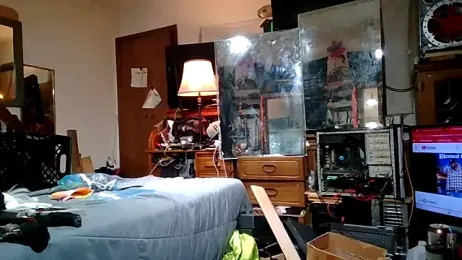 slinginbigD webcam model stream image
