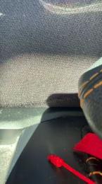 Peludeteee webcam model stream image