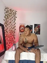 ARTHUR_MINI webcam model stream image